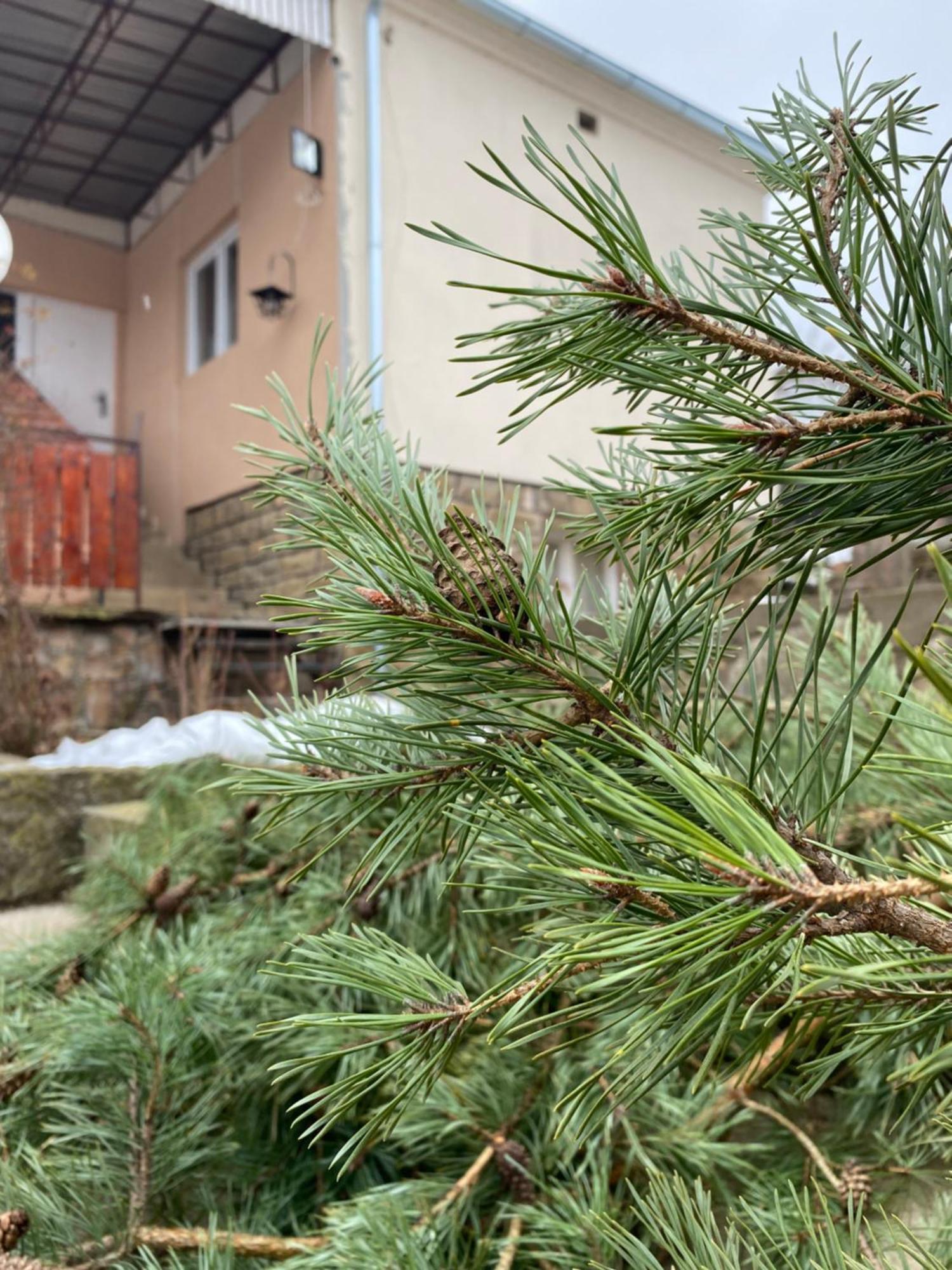 Ferienwohnung Seosko Turisticko Domacinstvo Stanisic Kalna Exterior foto