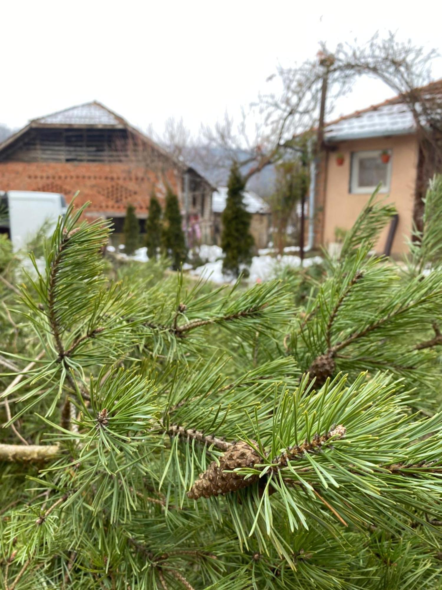 Ferienwohnung Seosko Turisticko Domacinstvo Stanisic Kalna Exterior foto